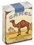 Camel Deep Blue
