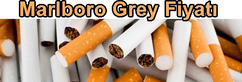 Grey Fiyatı