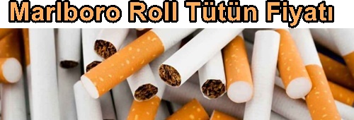Roll tütün Fiyatı